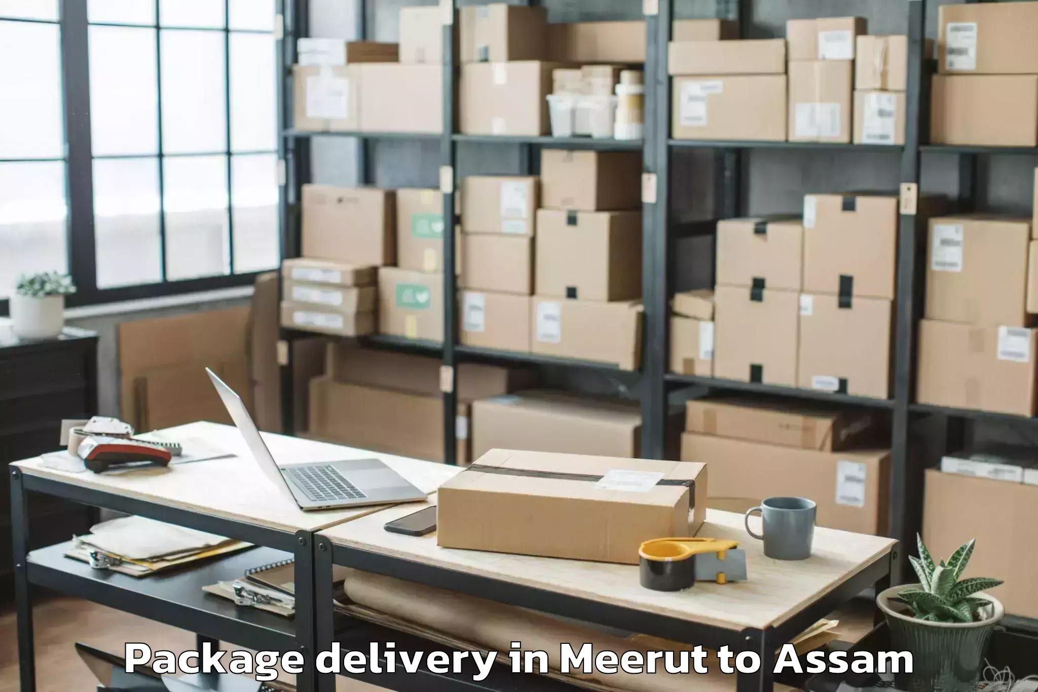 Top Meerut to Bilasipara Package Delivery Available